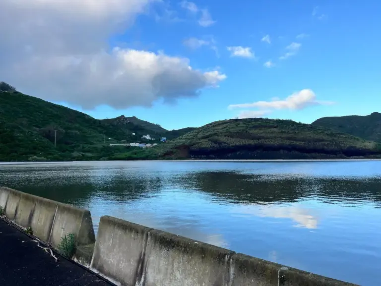 Canarias se viste de verde tras las lluvias que llenan presas y recuperan el campo