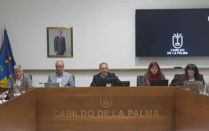 El primer pleno del año aprueba una declaración institucional en apoyo al pueblo venezolano y una moción de San Miguel Arcángel como Regidor Mayor de la Isla