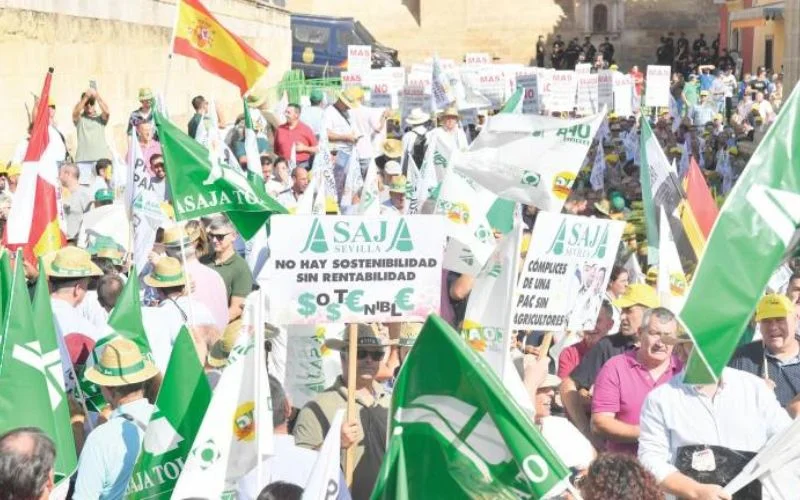 Las organizaciones de agricultores han llevado a cabo concentraciones y manifestaciones durante toda la semana por el territorio nacional