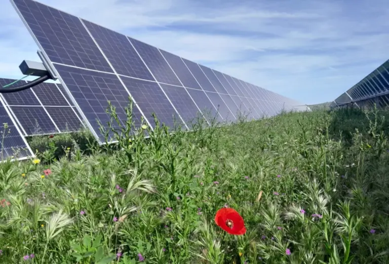 Instalan una planta solar fotovoltaica en el Almacén de Merese, en La Frontera