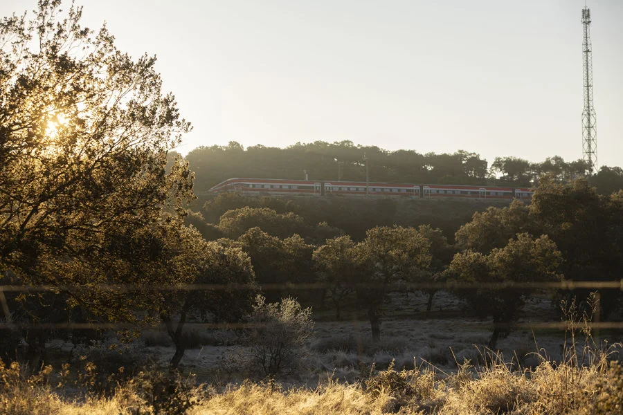 El tren Iryio accidentado. Imagen EFE/Jorge Zapata