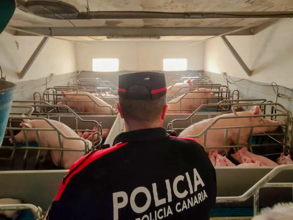 La Policía Canaria pone cinco multas en instalaciones ganaderas de Tenerife