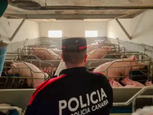 La Policía Canaria pone cinco multas en instalaciones ganaderas de Tenerife