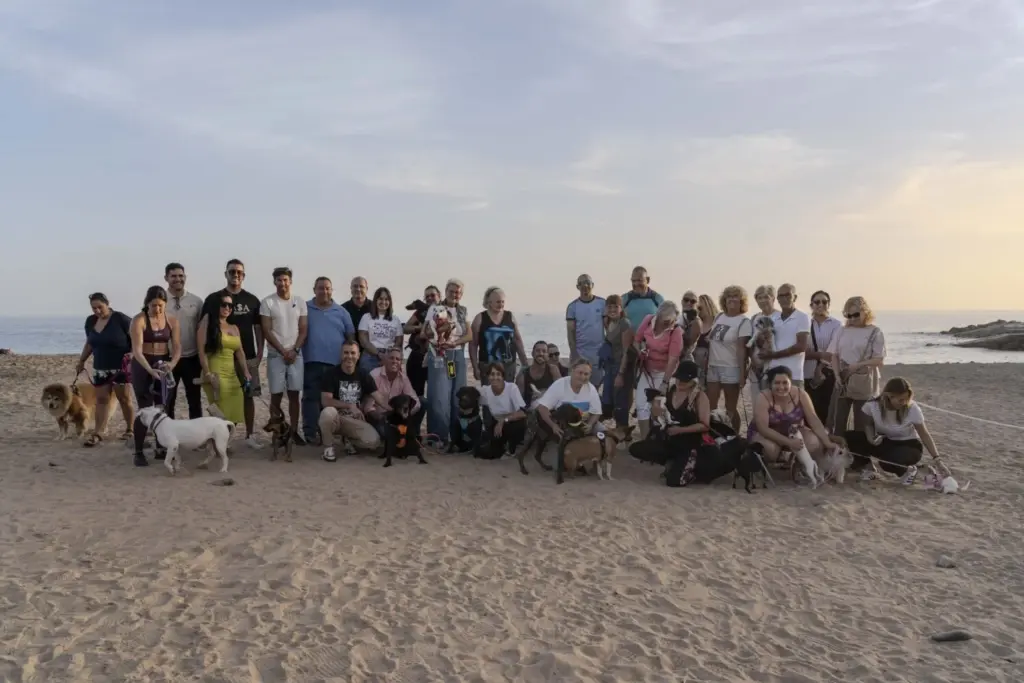 Mogán estrena cinco playas para mascotas con zonas acotadas y horarios adaptados