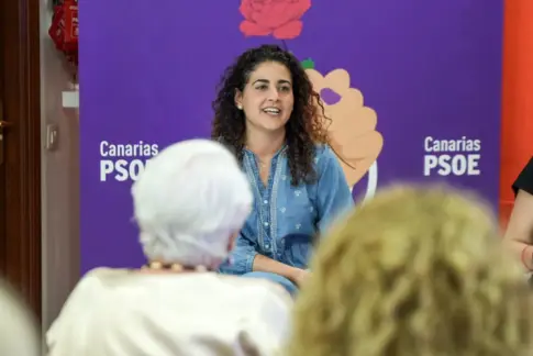 El PSOE pide sustituir una campaña de Carnavales del Gobierno por un mensaje más inclusivo