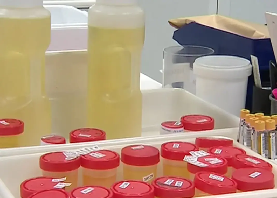 Sanidad refuerza la prevención ante el repunte de infecciones de transmisión sexual en Carnaval