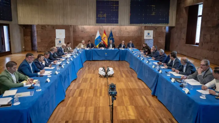 Ayuntamientos y cabildos se suman a enriquecer el Decreto Canarias para fortalecer su defensa ante Madrid