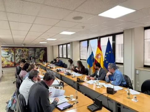 Canarias refuerza la coordinación con cabildos y el Estado para agilizar la financiación de la gratuidad del transporte