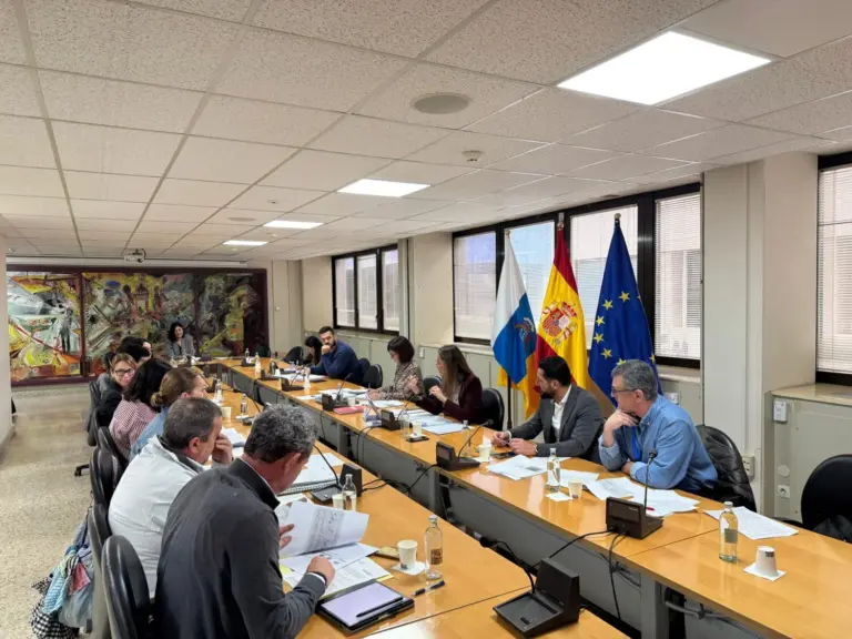 Canarias refuerza la coordinación con cabildos y el Estado para agilizar la financiación de la gratuidad del transporte