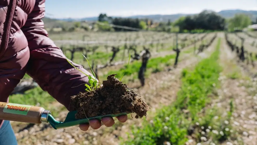La Eurocámara aprueba nuevas medidas para proteger a los agricultores frente a prácticas desleales