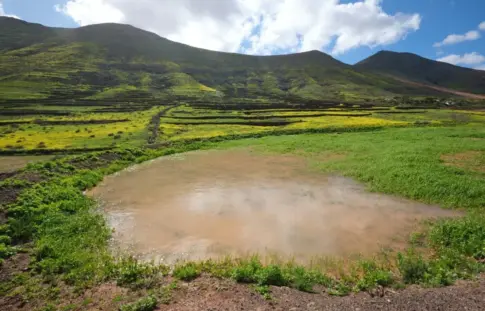 Fuerteventura celebra el Día de los Humedales con charcas, saladares y lagunas llenas por las lluvias