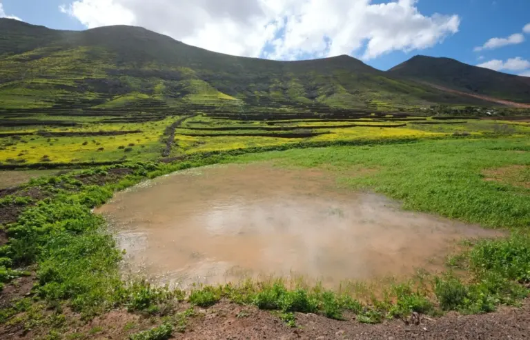 Fuerteventura celebra el Día de los Humedales con charcas, saladares y lagunas llenas por las lluvias