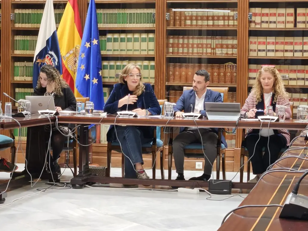 La consejera de Sanidad del Gobierno de Canarias, Esther Monzón, informó en la Comisión de Sanidad del Parlamento de Canarias sobre las acciones puestas en marcha en estos dos años