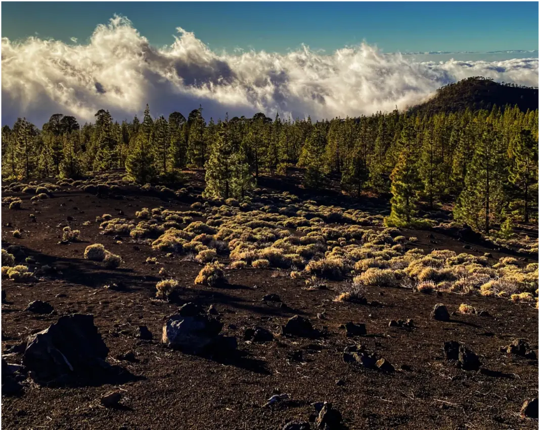 Parque Nacional del Teide. Imagen Gobierno de Canarias