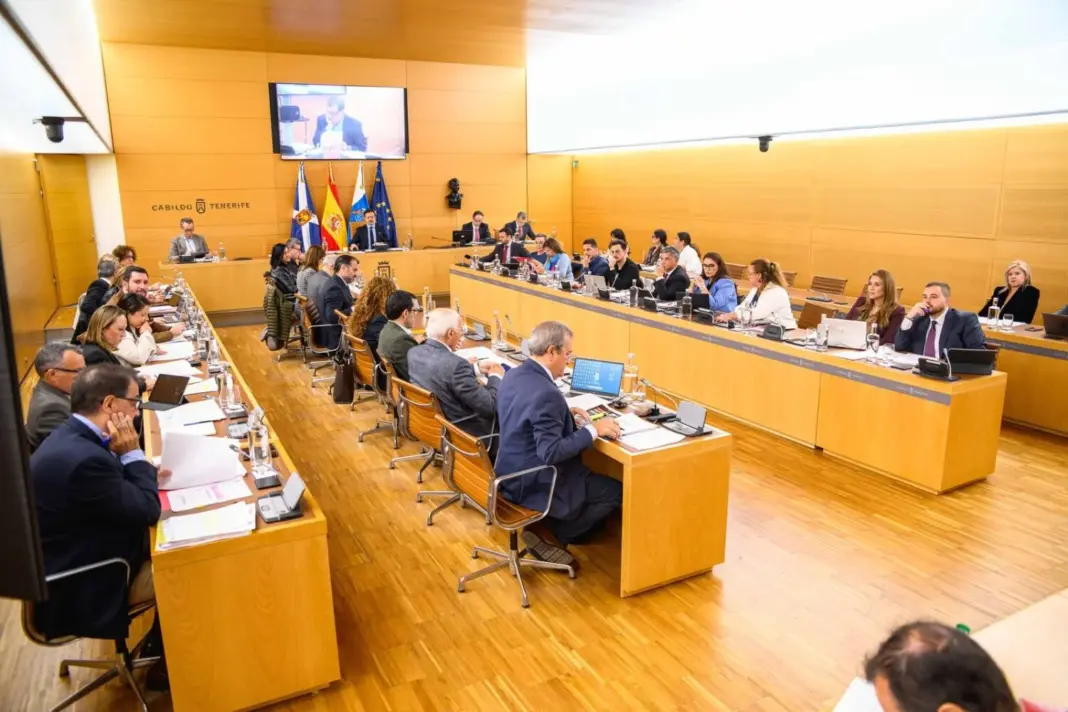 Pleno del Cabildo de Tenerife. Imagen Cabildo de Tenerife