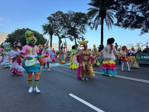 Santa Cruz se llena de la música y el color del Coso Apoteosis del Carnaval