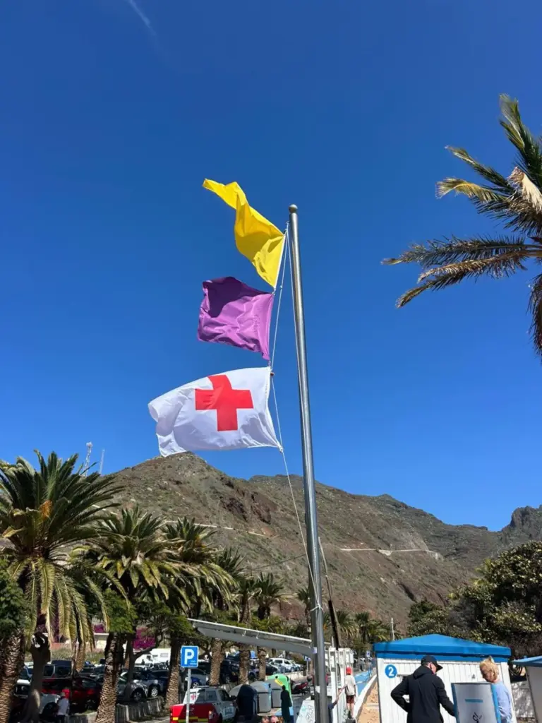 Bandera amarilla y de fauna por presencia de carabelas portuguesas en Valleseco y Las Teresitas