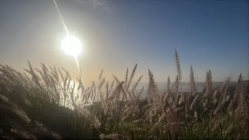 Continúa la calima, pero irá remitiendo durante el día