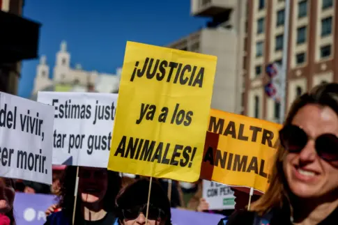 Manifestantes salen a la calle como señal de protesta contra la caza y el maltrato animal