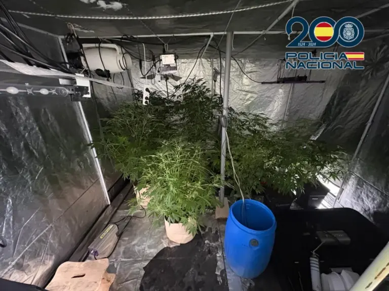 La Policía Nacional descubre un cultivo indoor de marihuana en una vivienda de okupas en Pájara