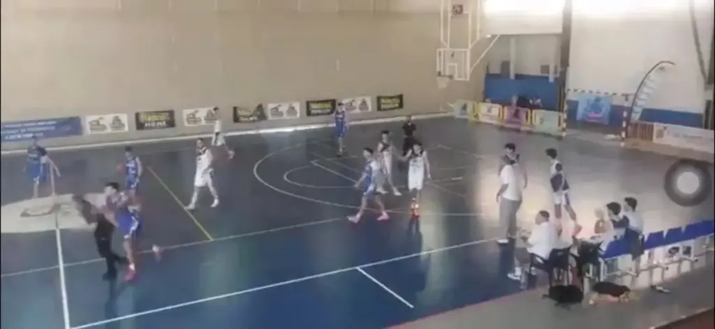 Fotograma de la agresión que sufrió el árbitro por parte de un jugador que lo empujó por la espalda 