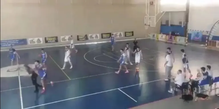 La FEB condena agresión a un árbitro en el partido Toscones-Fuenlabrada