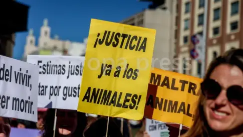 Convocadas manifestaciones contra la caza este domingo en Canarias y en el resto de España