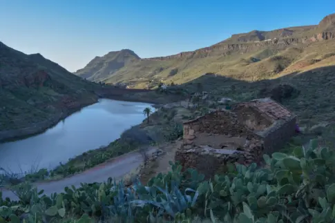 Rescatan a 15 perros de una residencia canina por riesgo de inundación en Ayagaures