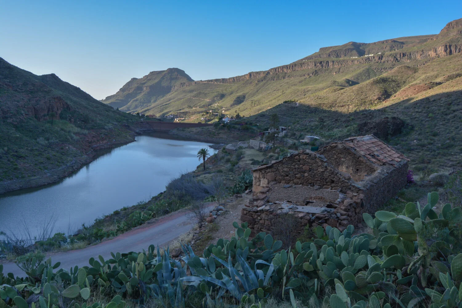 Rescatan a 15 perros de una residencia canina por riesgo de inundación en Ayagaures