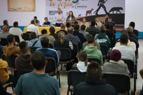 El Cabildo coordina FEAGA 2026 con los profesionales del sector primario majorero