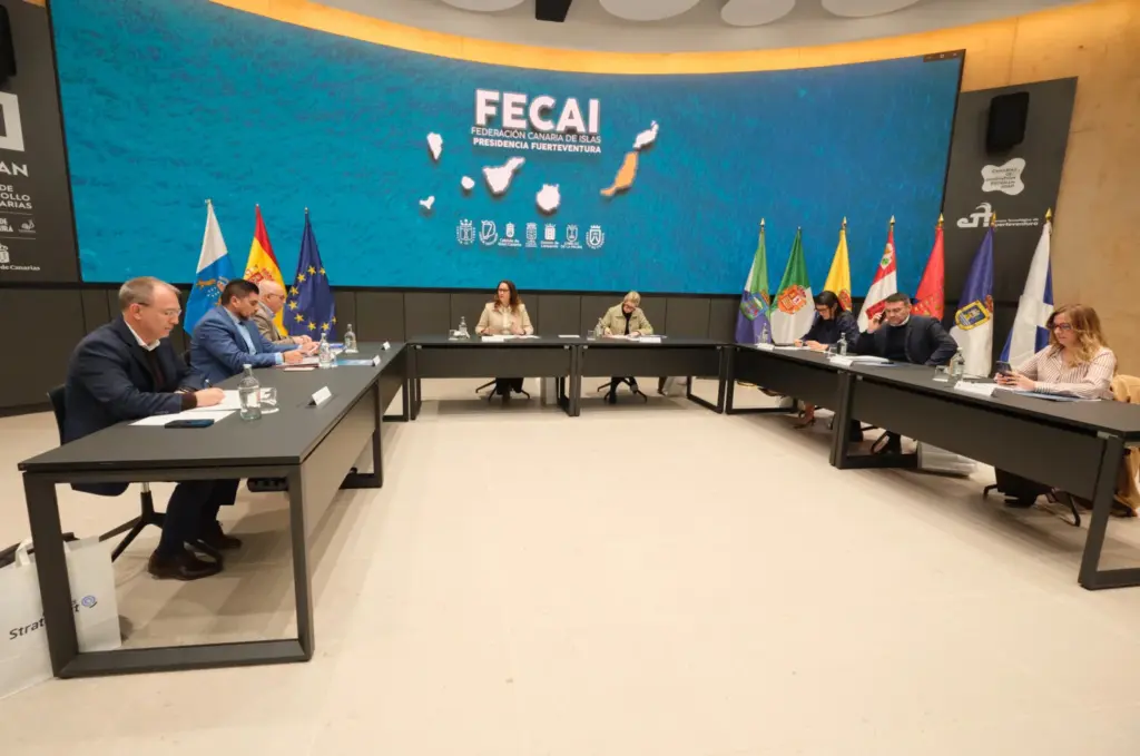 La FECAI presenta 40 propuestas al Decreto Canarias del Gobierno