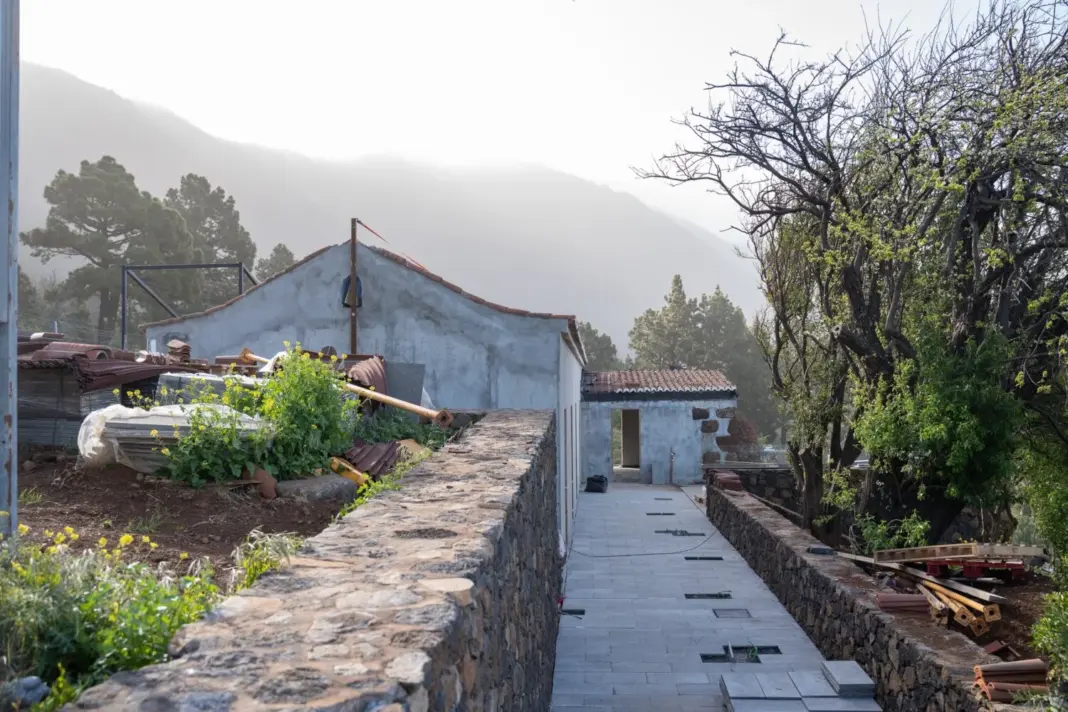 Centro Forestal del Pino de la Virgen. Imagen ACFI / Gobierno de Canarias