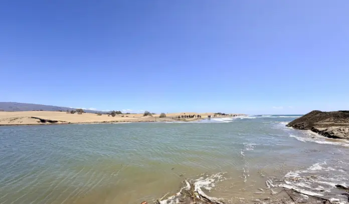 La Charca de Maspalomas se regenera tras la borrasca Therese