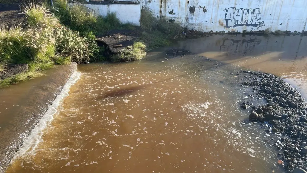 Therese Barrio de la alegría