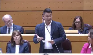 Chinea exige respuestas sobre el decreto para Canarias en el Senado