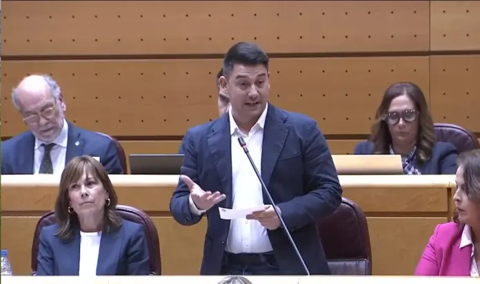 Chinea exige respuestas sobre el decreto para Canarias en el Senado
