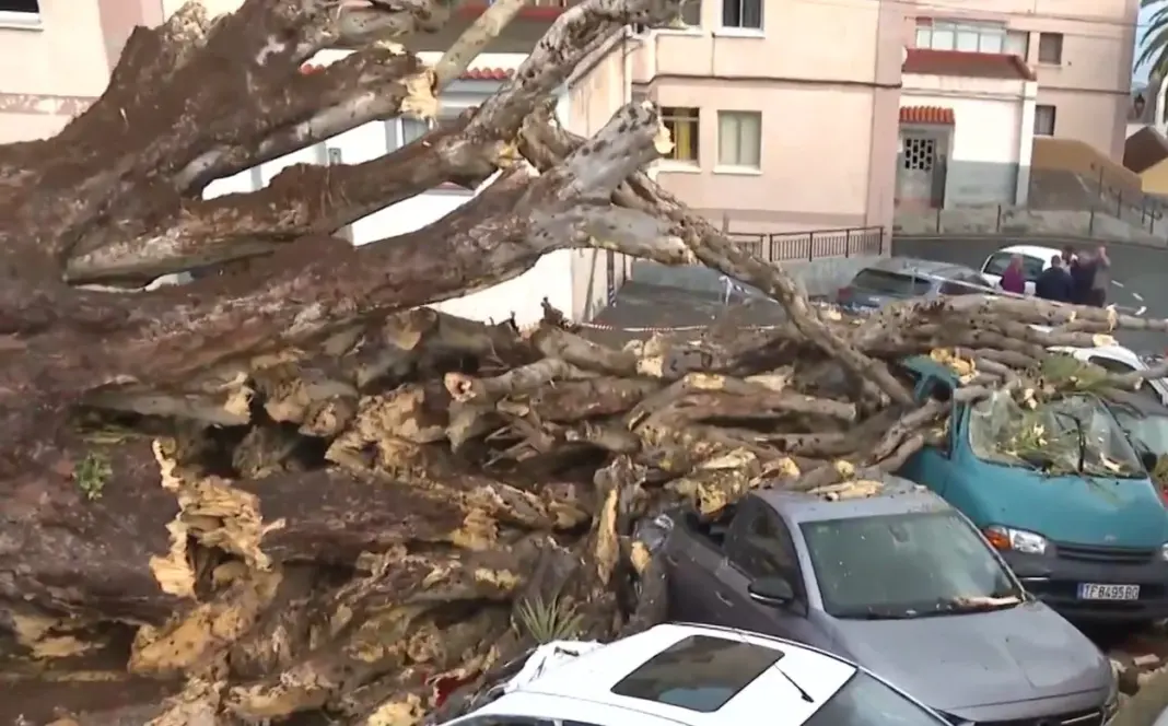 El drago cayó sobre varios vehículos estacionados. Imagen RTVC