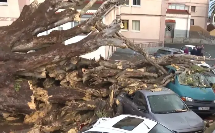 El drago cayó sobre varios vehículos estacionados. Imagen RTVC