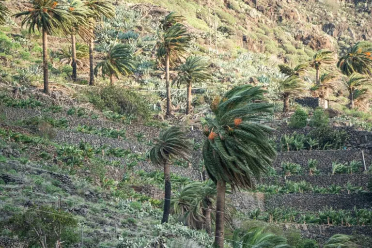 Bajada de temperaturas y viento muy fuerte en cumbres de Canarias