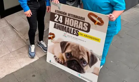 Los Realejos, pionero al implantar un veterinario 24 horas para animales abandonados