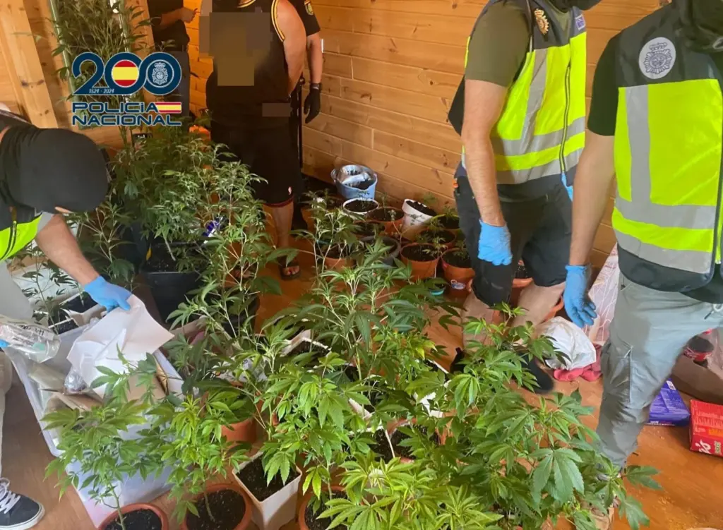 La Policía Nacional desmantela un punto de venta de marihuana y hachís establecido en el sur de Tenerife