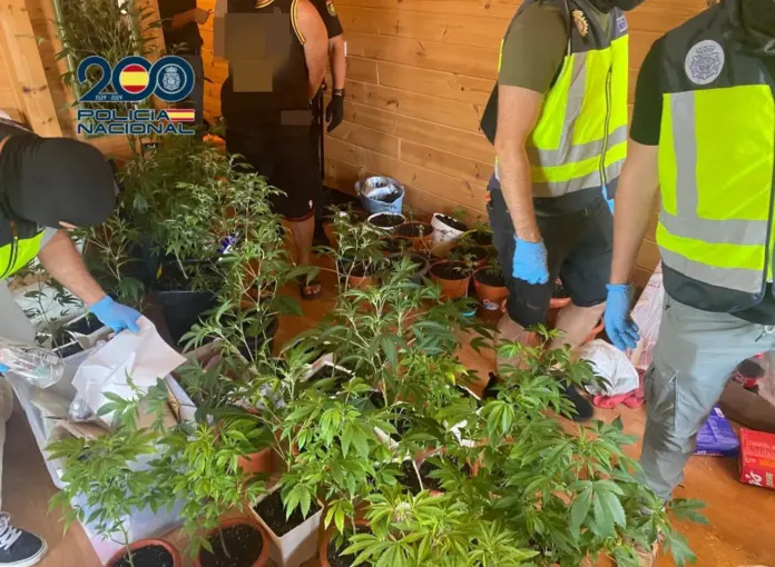 La Policía Nacional desmantela un punto de venta de marihuana y hachís establecido en el sur de Tenerife