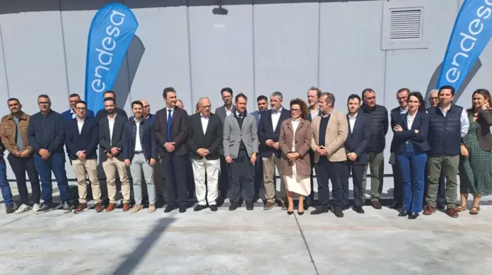 Endesa culmina la subestación El Palmar en La Gomera