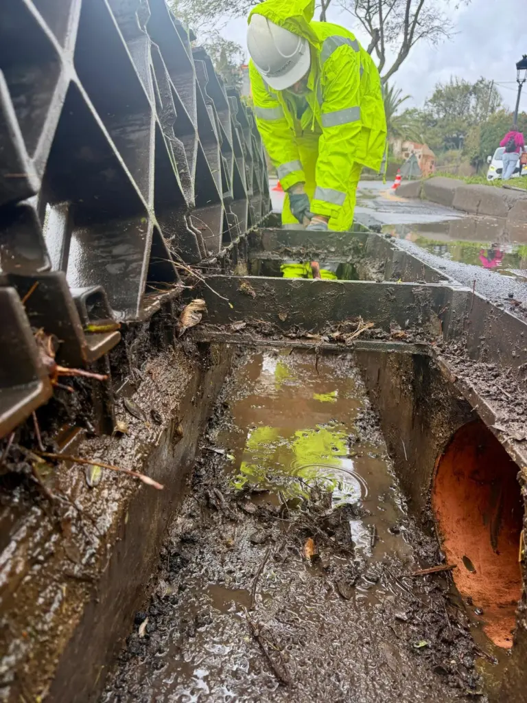 La Laguna se coordina para atajar los efectos de la borrasca Therese