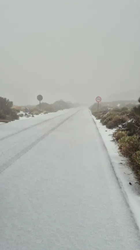 Televisión Canaria lidera la audiencia en Canarias este sábado y se sitúa como la cadena más vista del día