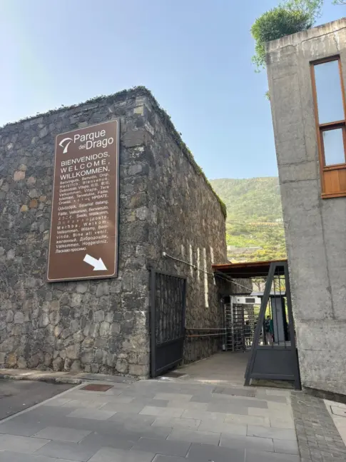 Cuatro detenidos por robar dinero de máquinas expendedoras en el parque del Drago de Icod, en Tenerife