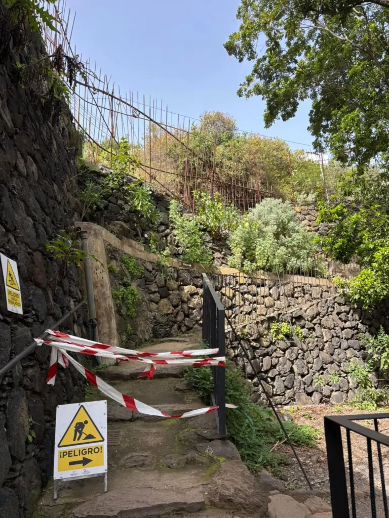 Parque del drago de Icod 