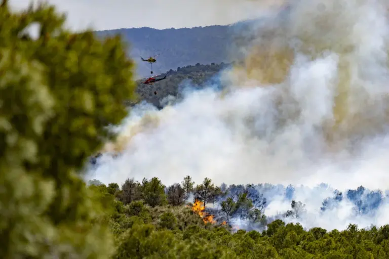Estabilizado el incendio forestal en Murcia que ha arrasado 400 hectáreas