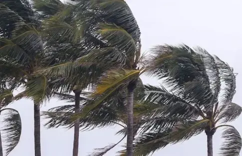 Canarias activa la prealerta por fuertes vientos mientras intenta sacudirse el lodo de la borrasca Therese