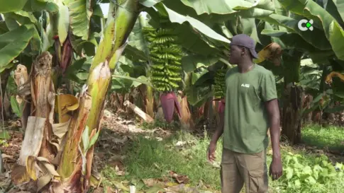 El programa Urdimbre impulsa la inserción laboral de jóvenes extutelados en el sector agrícola